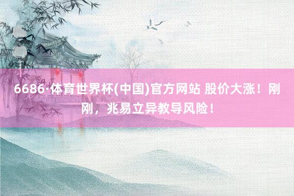 6686·体育世界杯(中国)官方网站 股价大涨！刚刚，兆易立异教导风险！