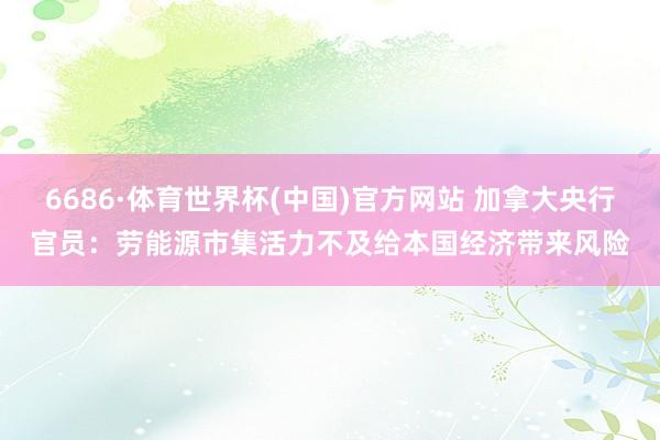 6686·体育世界杯(中国)官方网站 加拿大央行官员：劳能源市集活力不及给本国经济带来风险