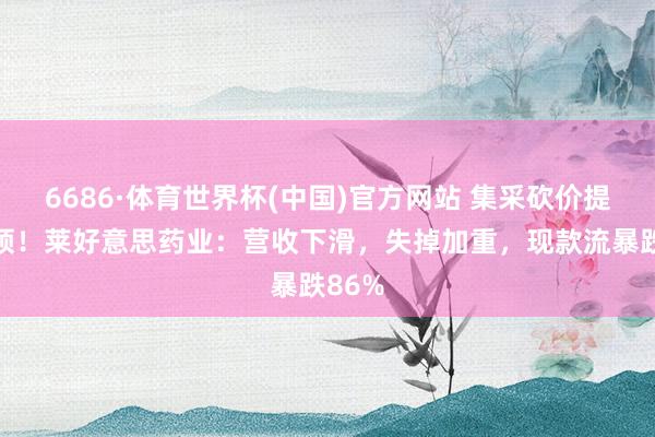 6686·体育世界杯(中国)官方网站 集采砍价提纲契领！莱好意思药业：营收下滑，失掉加重，现款流暴跌86%