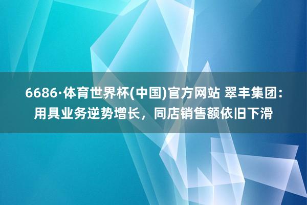6686·体育世界杯(中国)官方网站 翠丰集团：用具业务逆势增长，同店销售额依旧下滑