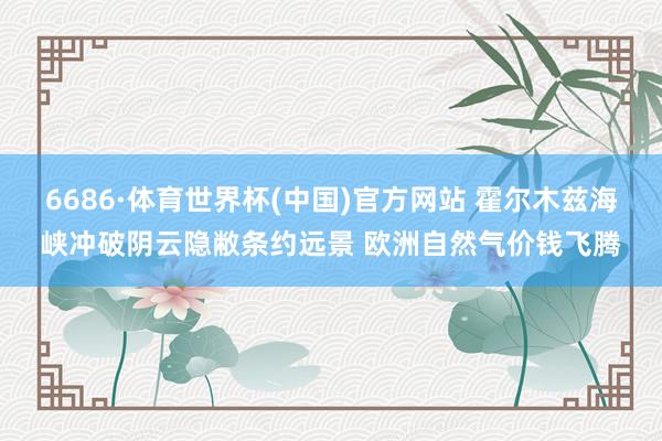 6686·体育世界杯(中国)官方网站 霍尔木兹海峡冲破阴云隐敝条约远景 欧洲自然气价钱飞腾