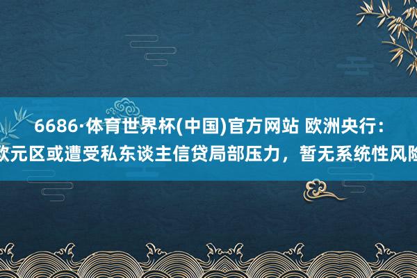 6686·体育世界杯(中国)官方网站 欧洲央行：欧元区或遭受私东谈主信贷局部压力，暂无系统性风险