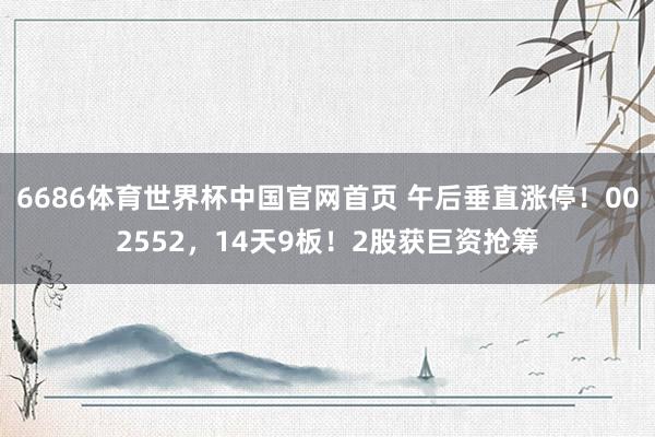 6686体育世界杯中国官网首页 午后垂直涨停！002552，14天9板！2股获巨资抢筹