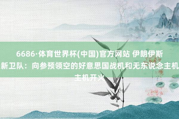 6686·体育世界杯(中国)官方网站 伊朗伊斯兰翻新卫队：向参预领空的好意思国战机和无东说念主机开火