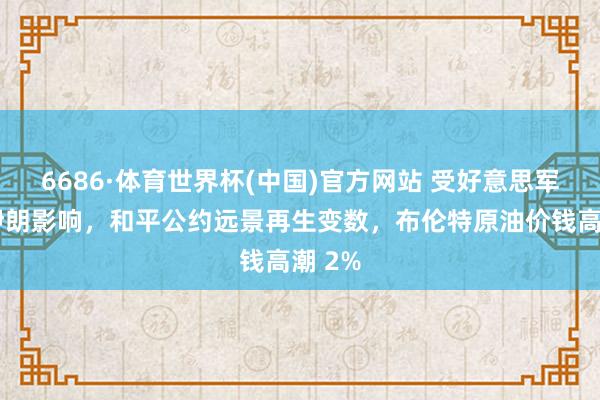6686·体育世界杯(中国)官方网站 受好意思军空袭伊朗影响，和平公约远景再生变数，布伦特原油价钱高潮 2%