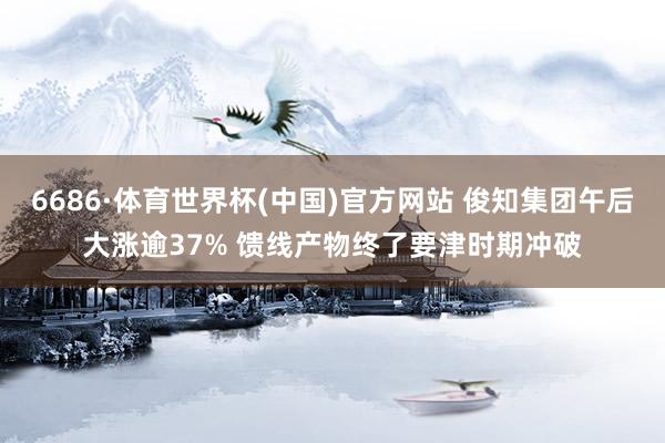 6686·体育世界杯(中国)官方网站 俊知集团午后大涨逾37% 馈线产物终了要津时期冲破