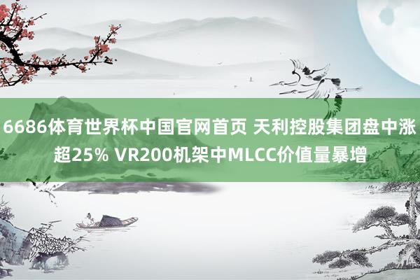 6686体育世界杯中国官网首页 天利控股集团盘中涨超25% VR200机架中MLCC价值量暴增