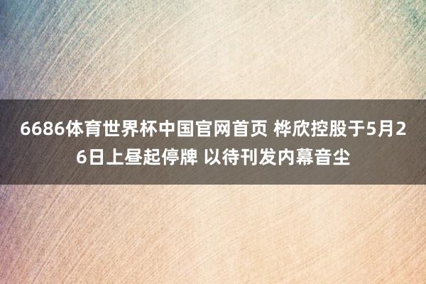 6686体育世界杯中国官网首页 桦欣控股于5月26日上昼起停牌 以待刊发内幕音尘