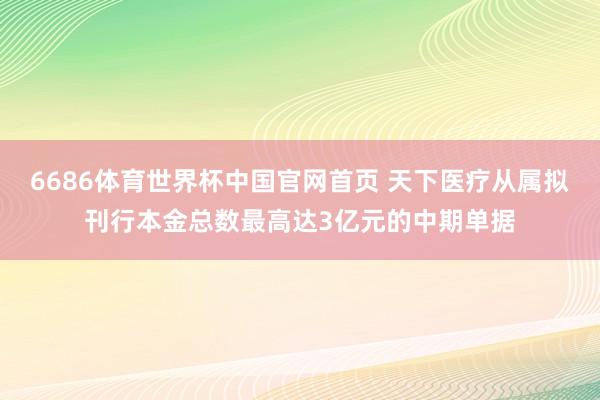 6686体育世界杯中国官网首页 天下医疗从属拟刊行本金总数最高达3亿元的中期单据