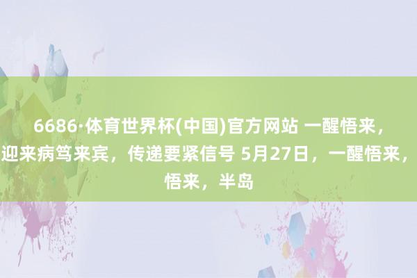 6686·体育世界杯(中国)官方网站 一醒悟来，朝鲜迎来病笃来宾，传递要紧信号 5月27日，一醒悟来，半岛