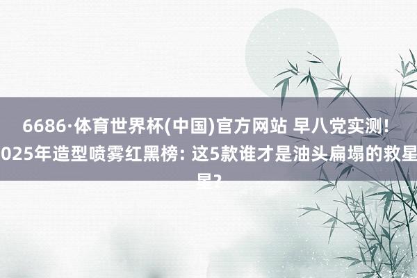 6686·体育世界杯(中国)官方网站 早八党实测! 2025年造型喷雾红黑榜: 这5款谁才是油头扁塌的救星?