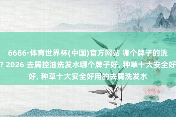 6686·体育世界杯(中国)官方网站 哪个牌子的洗发水去屑后果好? 2026 去屑控油洗发水哪个牌子好， 种草十大安全好用的去屑洗发水