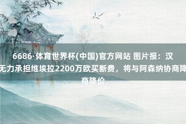 6686·体育世界杯(中国)官方网站 图片报：汉堡无力承担维埃拉2200万欧买断费，将与阿森纳协商降价