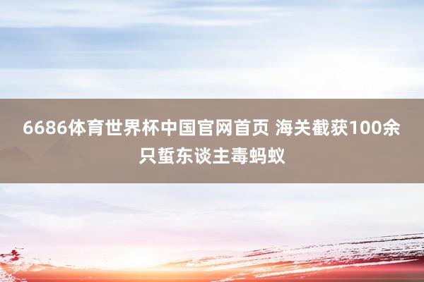 6686体育世界杯中国官网首页 海关截获100余只蜇东谈主毒蚂蚁