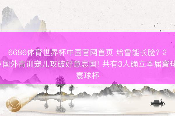 6686体育世界杯中国官网首页 给鲁能长脸? 24岁国外青训宠儿攻破好意思国! 共有3人确立本届寰球杯