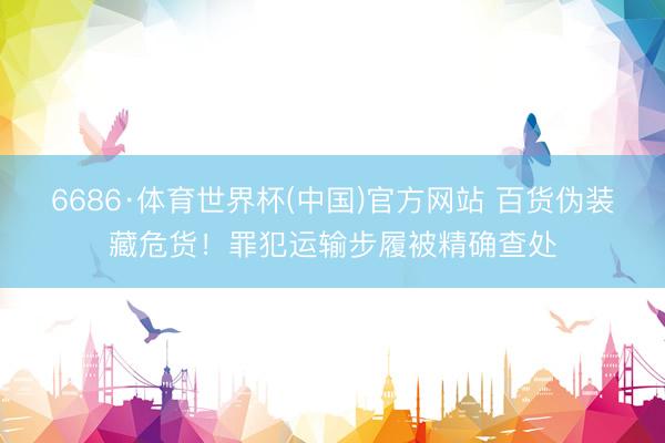 6686·体育世界杯(中国)官方网站 百货伪装藏危货！罪犯运输步履被精确查处